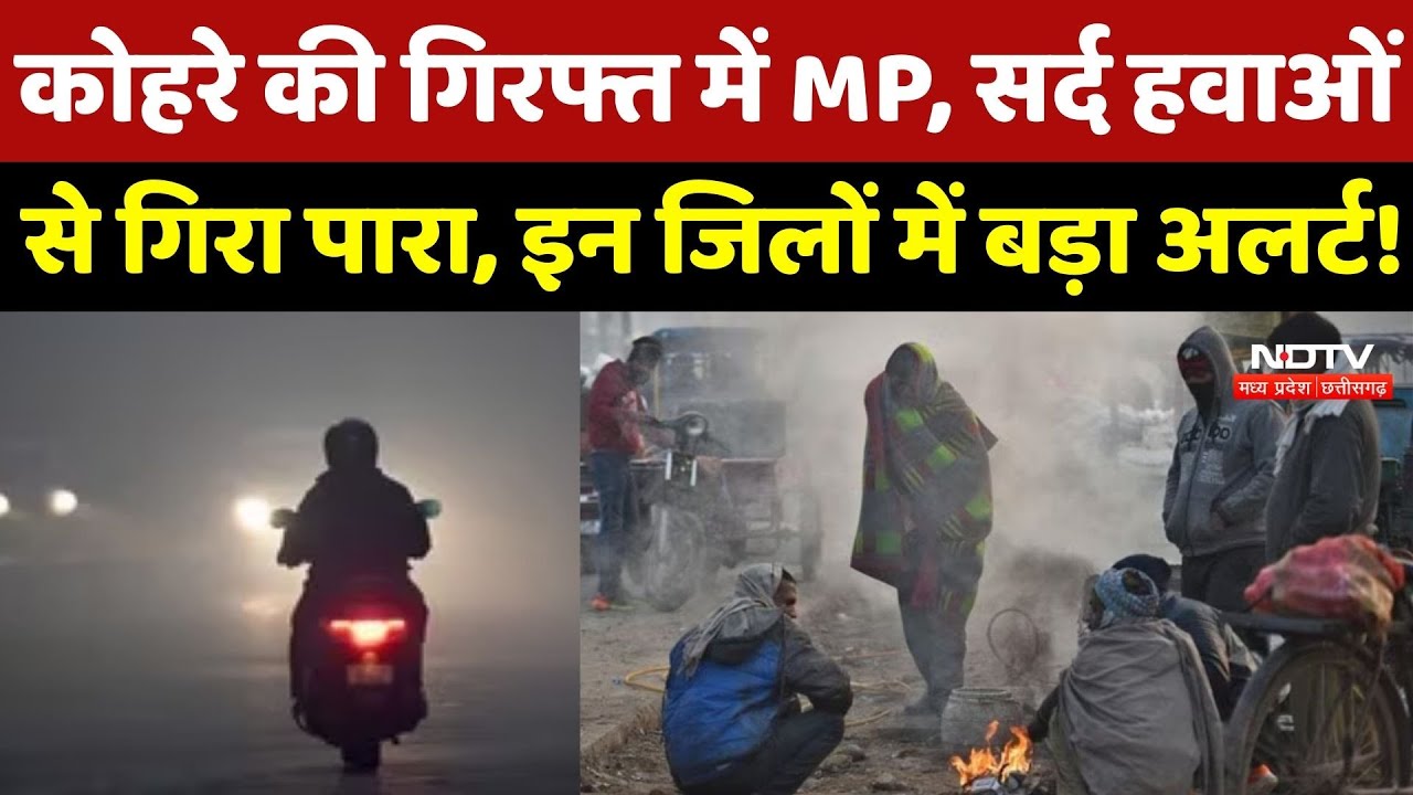 MP Weather News: कोहरे की गिरफ्त में MP, सर्द हवाओं से गिरा पारा, इन जिलों में बड़ा अलर्ट!