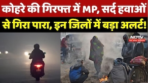 MP Weather News: कोहरे की गिरफ्त में MP, सर्द हवाओं से गिरा पारा, इन जिलों में बड़ा अलर्ट!