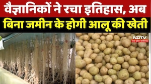 Gwalior News: बिना मिट्टी-पानी के Potato की बम्पर पैदावार, Farmers की बदलेगी किस्मत