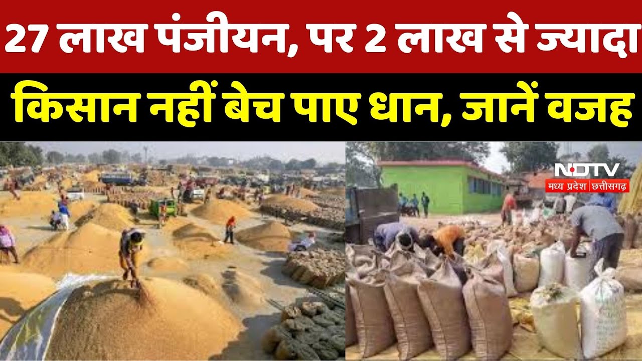 Dhan Kharidi News: 27 लाख पंजीयन, पर 2 लाख से ज्यादा किसान नहीं बेच पाए धान, जानिए क्या है वजह
