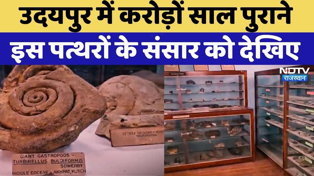 Udaipur News: 330 करोड़ साल पुराने पत्थर कां संग्रह, देखिए क्या है इसका इतिहास? Rajasthan News