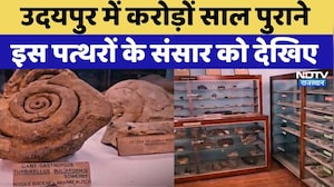 Udaipur News: 330 करोड़ साल पुराने पत्थर कां संग्रह, देखिए क्या है इसका इतिहास? Rajasthan News