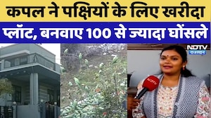 Rajsamand: पति-पत्नी ने तोतों के लिए खरीदा प्लॉट, 10 हजार पक्षियों का बनवाया आशियाना Birds House