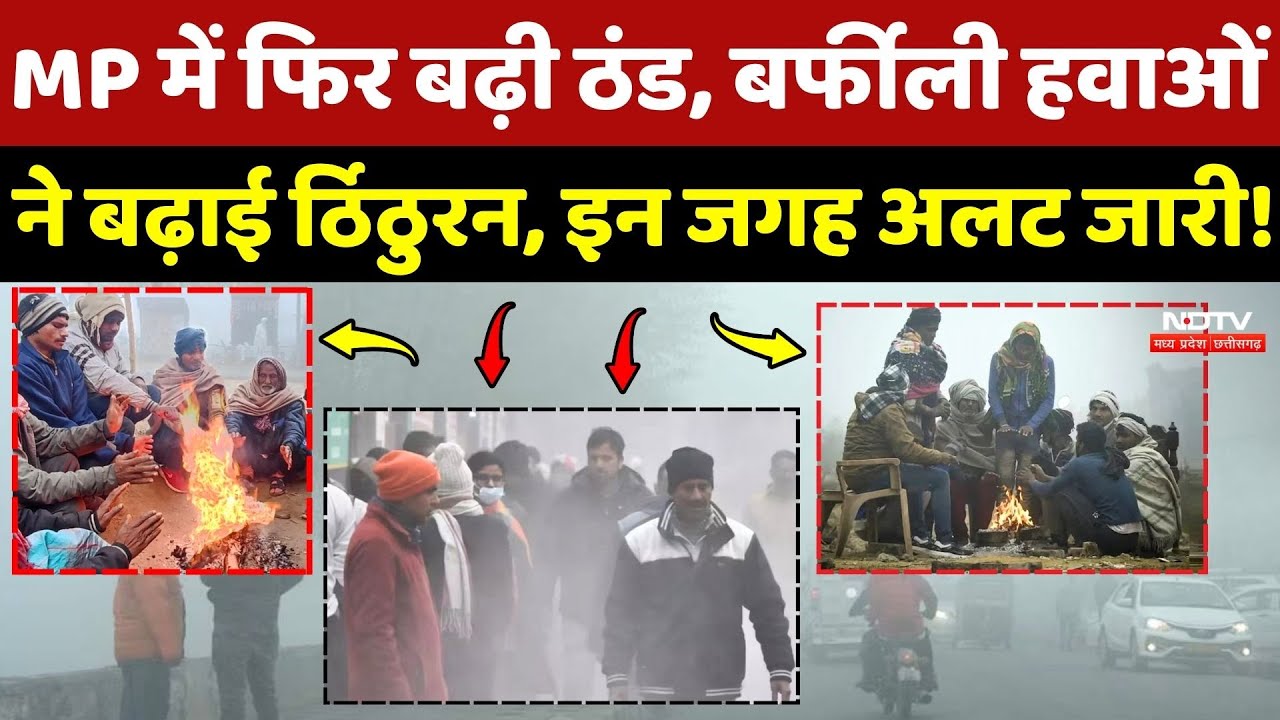MP Weather News: फिर बढ़ी ठंड, बर्फीली हवाओं ने बढ़ाई ठिठुरन, इन जगह अलर्ट जारी!
