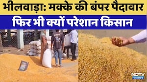 Bhilwara: मक्के की बंपर पैदावार  फिर भी क्यों परेशान किसान | Maize Crisis | Top News | Latest News