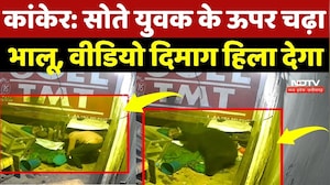 Naxal Zone Kanker: सोते युवक के ऊपर चढ़ा भालू, वीडियो दिमाग हिला देगा | Viral Video | Bear Attack