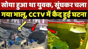 Kanker: सोया हुआ था युवक, सूंघकर चला गया भालू, CCTV में कैद हुई घटना