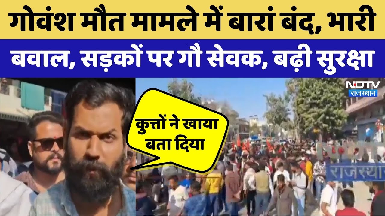 Protest Over Calf's Death In Baran: बारां बंद, सड़कों पर गौ सेवक | Rajasthan Top News | Viral Video