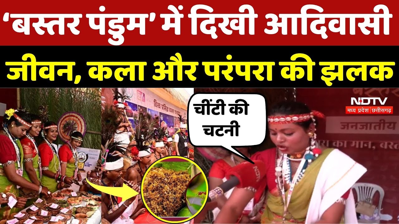 Bastar Pandum 2026: ‘बस्तर पंडुम’ में दिखी आदिवासी जीवन, कला और परंपरा की झलक | Chhattisgarh News