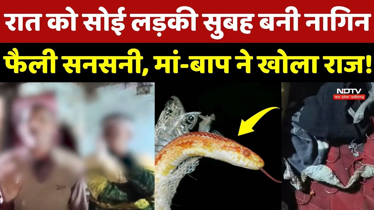 Auraiya Nagin Drama: रात को सोई लड़की सुबह बनी नागिन, फैली सनसनी, मां-बाप ने खोला राज ! Top News