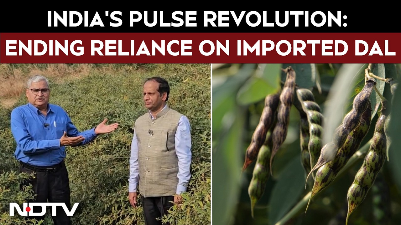 India&rsquo;s Pulse Revolution: Ending Reliance on Imported Dal