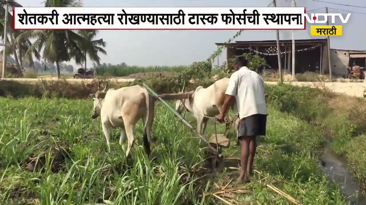 Government's big decision for farmers | शेतकऱ्यांसाठी सरकारचा मोठा निर्णय, खास टास्क फोर्स स्थापन
