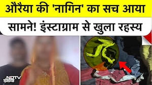 Auraiya News: नागिन की अफवाह निकली झूठ, Girl ने Video जारी कर बताई Love Marriage की सच्चाई!