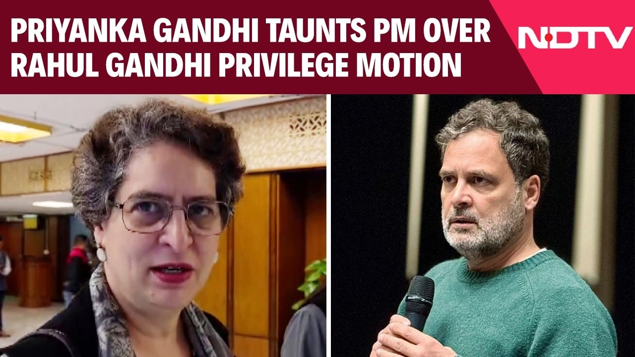 'Macho Man': Priyanka Gandhi Taunts PM Modi Over Rahul Gandhi Privilege Motion