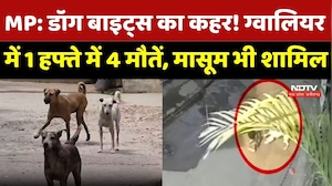 Dog Bite : Madhya Pradesh में डॉग बाइट्स का कहर! Gwalior में 1 हफ्ते में 4 मौतें, मासूम भी शामिल