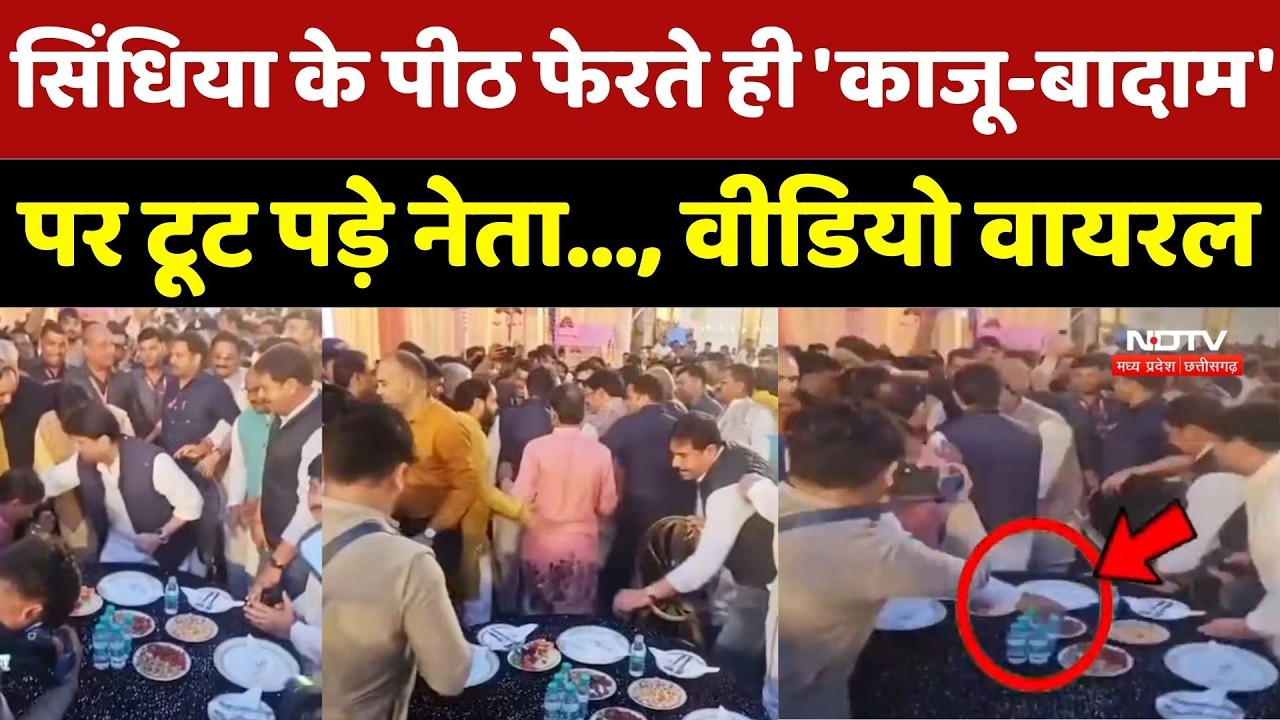 Shivpuri News: Scindia के पीठ फेरते ही 'काजू-बादाम' पर टूट पड़े नेता..., Video Viral