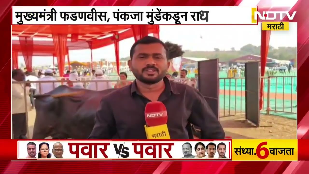 Beed | महा पशुधन एक्सपोमध्ये राधा म्हैस आकर्षणाचा केंद्रबिंदू, जगातली सर्वात मोठी म्हैस NDTV मराठीवर