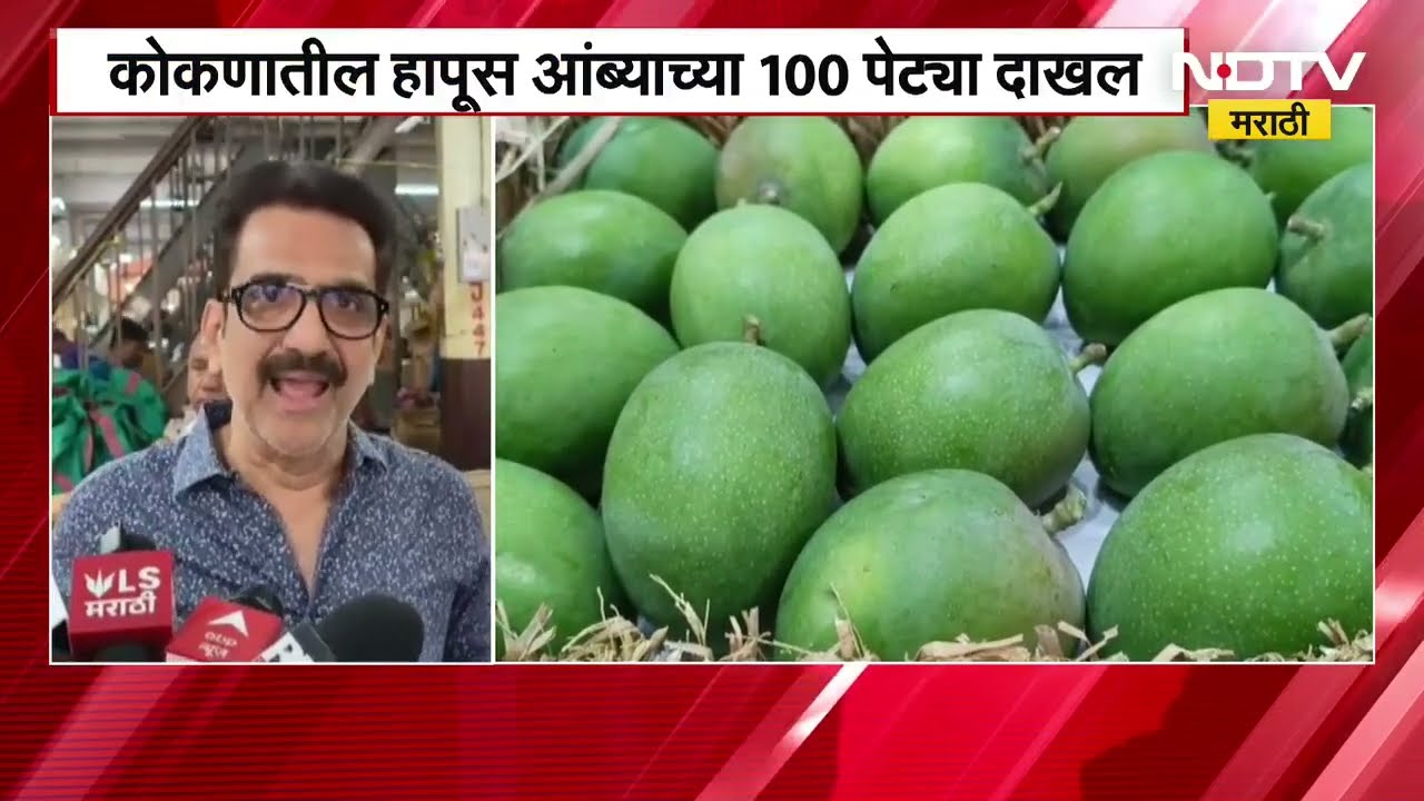 APMC Market मध्ये हापूसची एन्ट्री, कोकणातील हापूस आंब्याच्या 100 पेट्या वाशीत मार्केटमध्ये दाखल