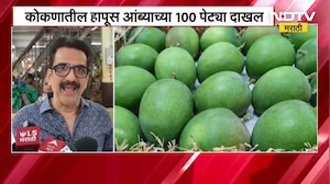 APMC Market मध्ये हापूसची एन्ट्री, कोकणातील हापूस आंब्याच्या 100 पेट्या वाशीत मार्केटमध्ये दाखल