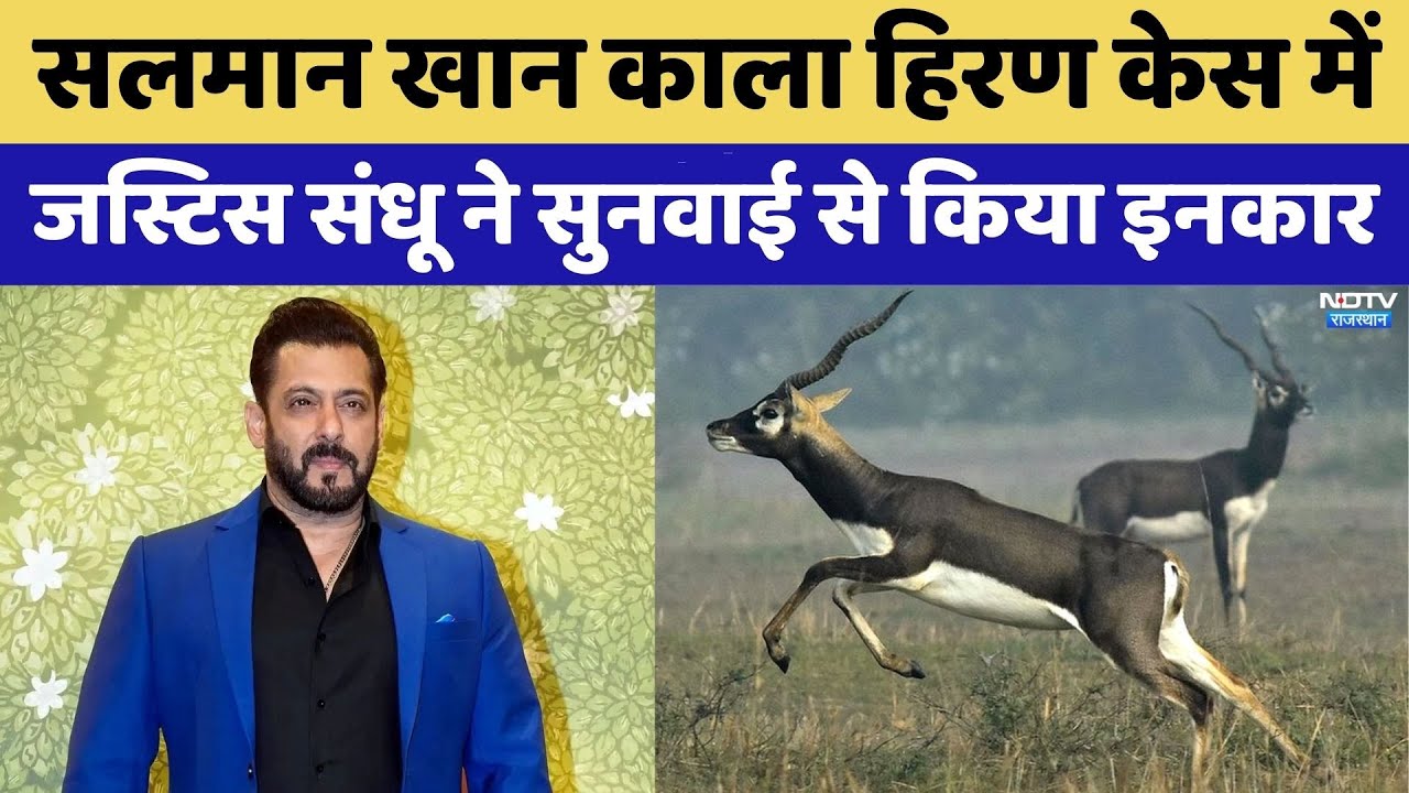 Blackbuck poaching case: Salman Khan काला हिरण केस में नया मोड़ | Rajasthan Top News | Crime News