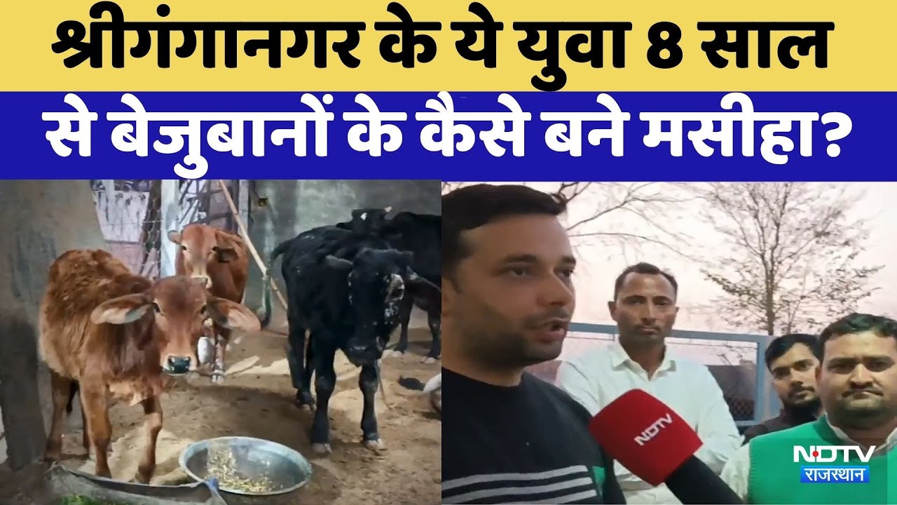 Sriganganagar के इन युवाओं ने 8 साल से अपनी जिंदगी की बेजुबानों के नाम | Rajasthan Top News