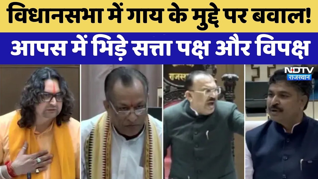 Rajasthan Politics:  विधानसभा में गाय के मुद्दे पर बवाल! आपस में भिड़े सत्ता पक्ष और विपक्ष | Latest