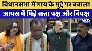 Rajasthan Politics:  विधानसभा में गाय के मुद्दे पर बवाल! आपस में भिड़े सत्ता पक्ष और विपक्ष | Latest