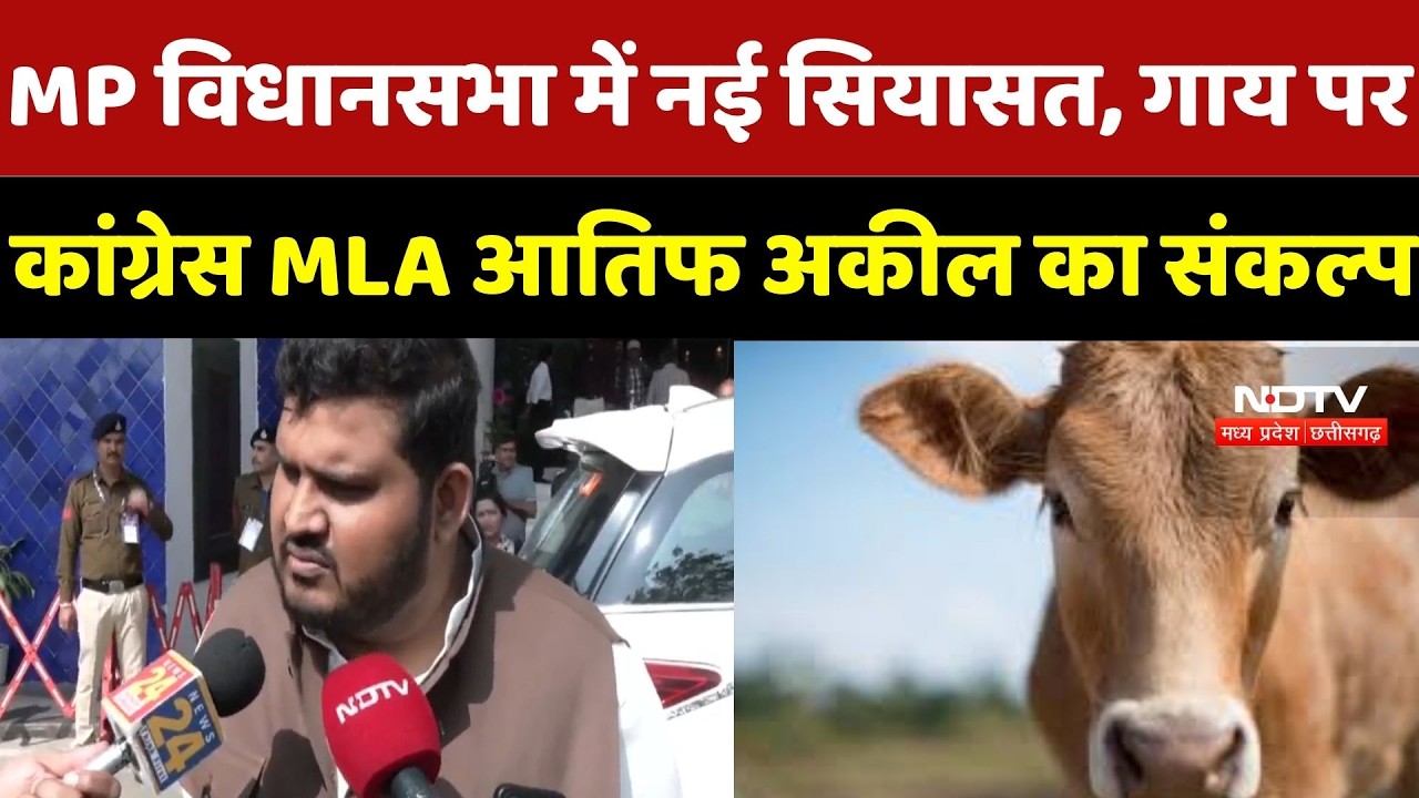 MP Politics: Cow को National Animal Declare करने की Congress MLA Atif Aqeel ने उठाई मांग