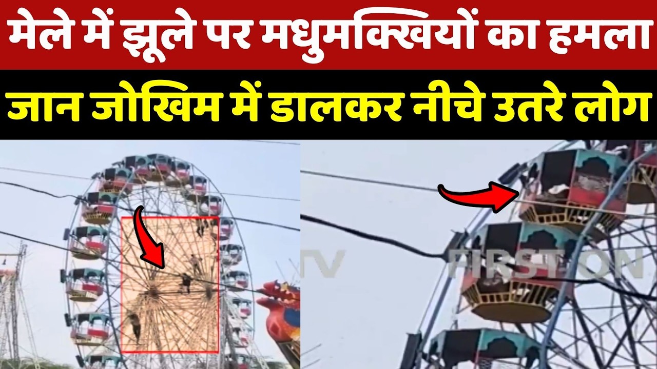 Ujjain Mela में झूले पर Bees का हमला, जान जोखिम में डालकर नीचे उतरे लोग! Ujjain Mela में झूले पर Bees का हमला, जान जोखिम में डालकर नीचे उतरे लोग!