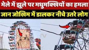 Ujjain Mela में झूले पर Bees का हमला, जान जोखिम में डालकर नीचे उतरे लोग! Ujjain Mela में झूले पर Bees का हमला, जान जोखिम में डालकर नीचे उतरे लोग!