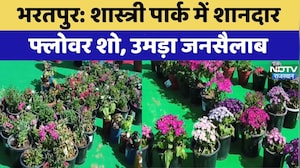 Bharatpur Flower Show:  शास्त्री पार्क में शानदार फ्लोवर शो, उमड़ा जनसैलाब | Top News