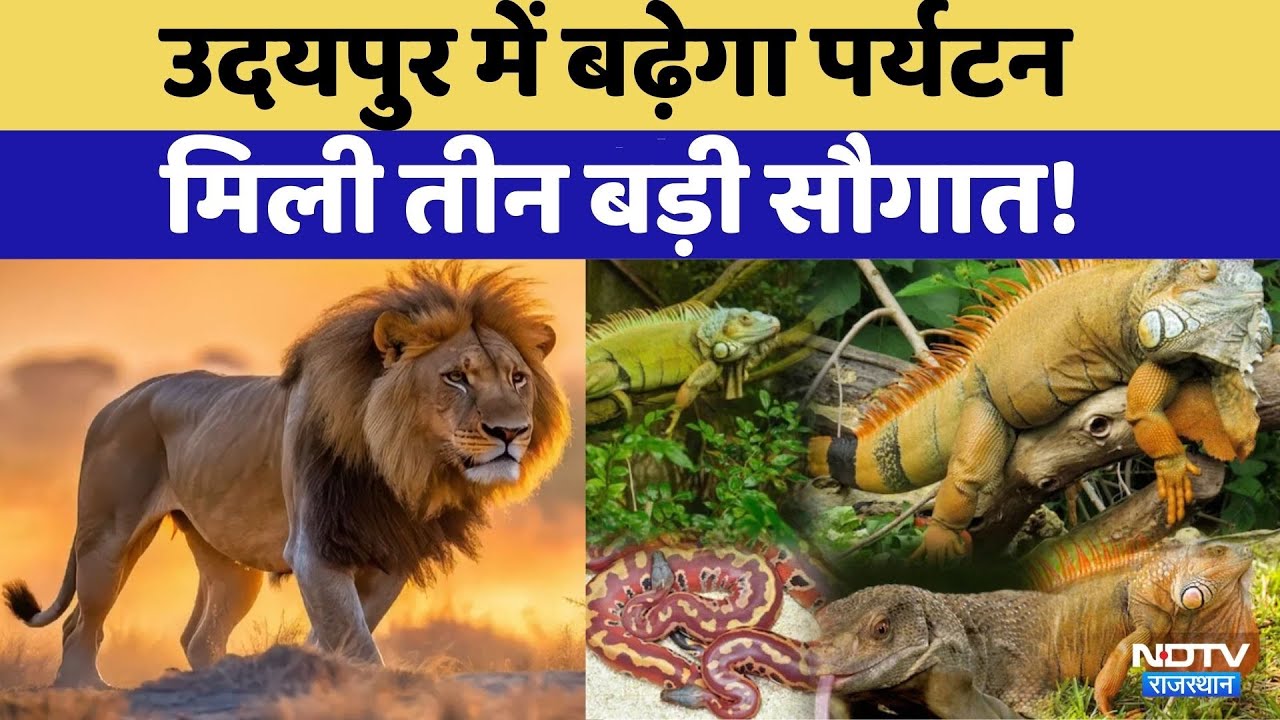 Udaipur News:Sajjangarh Century में बनाए गए तीन प्वॉइंट्स | Biological Park | Lion Safari | Top News