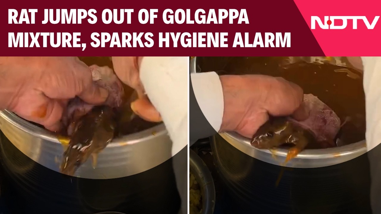 Viral Video Shows Rat Jumping Out Of Golgappa Mixture, Sparks Hygiene Alarm