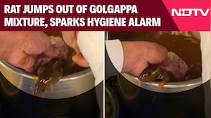 Viral Video Shows Rat Jumping Out Of Golgappa Mixture, Sparks Hygiene Alarm