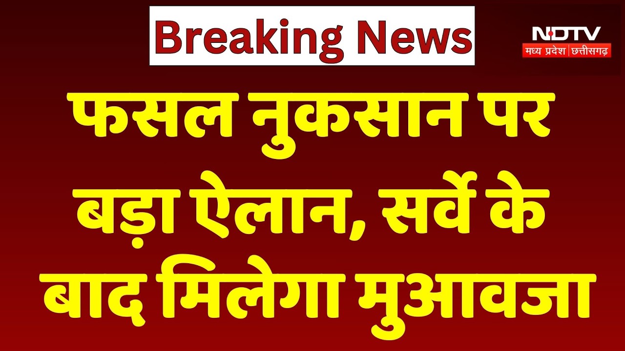 MP News : बेमौसम Rain-Hailstorm से तबाही! Farmers को मुआवजा देगी Mohan Sarkar