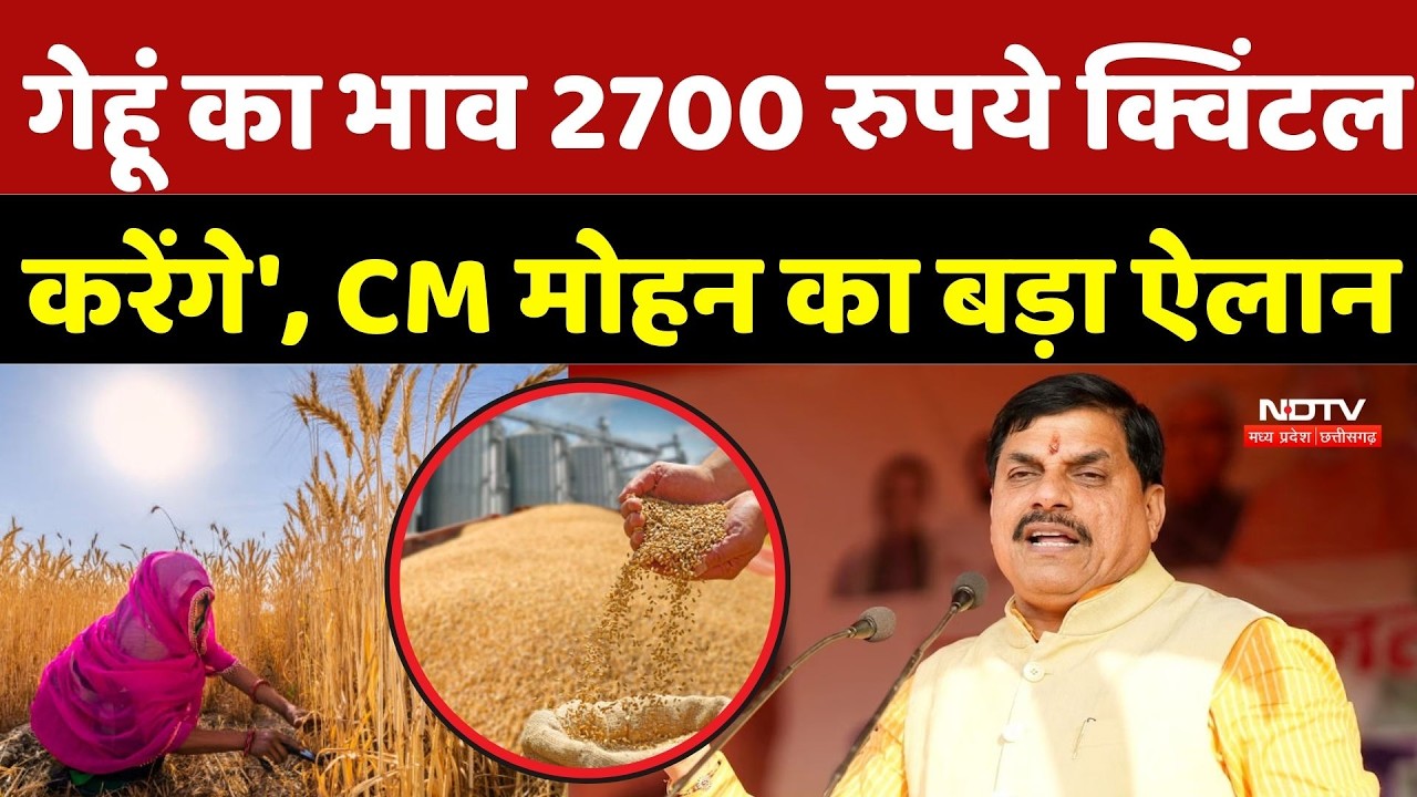 MP Budget Session 2026: 'गेहूं का भाव 2700 रुपये क्विंटल करेंगे', CM Mohan का बड़ा ऐलान | Breaking