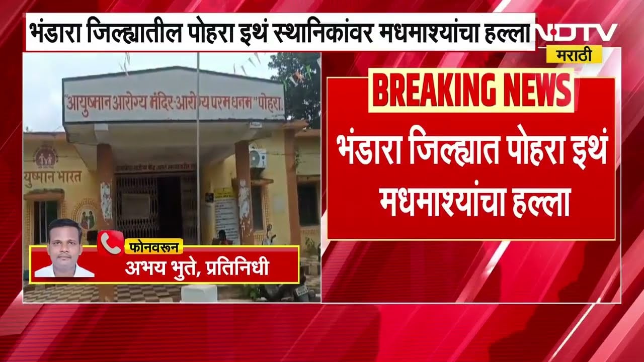 Bee attack | Bhandara जिल्ह्यातील पोहरा इथं मधमाश्यांचा हल्ला, पाच जण जखमी