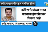 भाजप प्रदेशाध्यक्ष Ravindra Chavan यांची Rahul Gandhi यांच्यावर टीका | Delhi Ai Summit | BJP | NDTV