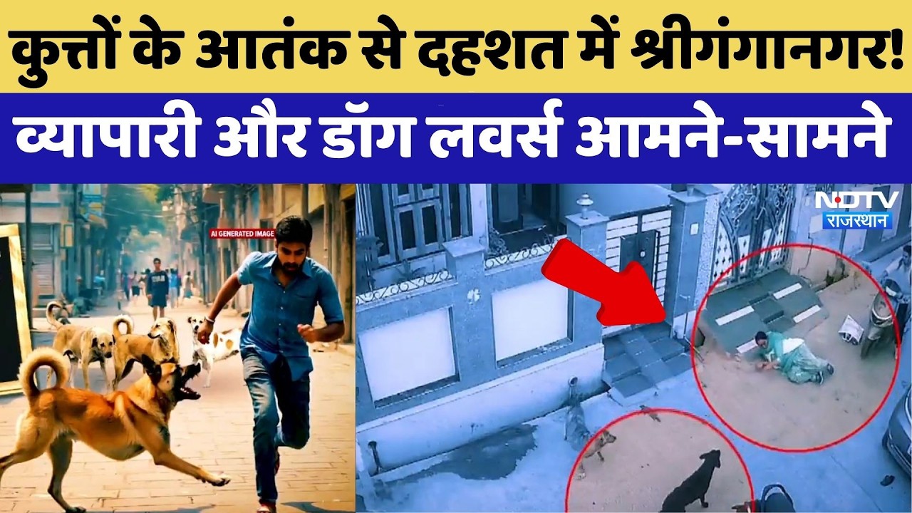 Dog Attacks: कुत्तों के आतंक से दहशत में Sriganganagar! व्यापारी और डॉग लवर्स आमने-सामने | Latest