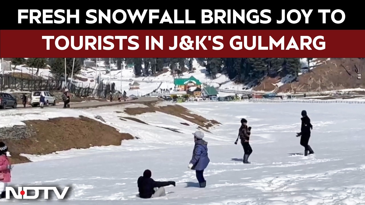 Jammu & Kashmir News: Fresh Snowfall Brings Joy To Tourists In Gulmarg