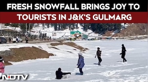 Jammu & Kashmir News: Fresh Snowfall Brings Joy To Tourists In Gulmarg