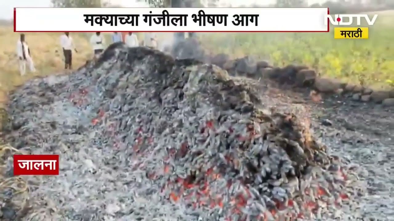 Jalna | मक्याच्या गंजीला भीषण आग, शेतकऱ्याचा 100 क्विंटल मका जळून खाक | NDTV मराठी