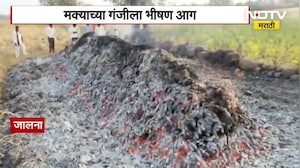 Jalna | मक्याच्या गंजीला भीषण आग, शेतकऱ्याचा 100 क्विंटल मका जळून खाक | NDTV मराठी