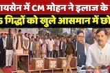 Raisen News: रायसेन में CM Mohan Yadav ने इलाज के बाद 5 गिद्धों को खुले आसमान में छोड़ा!