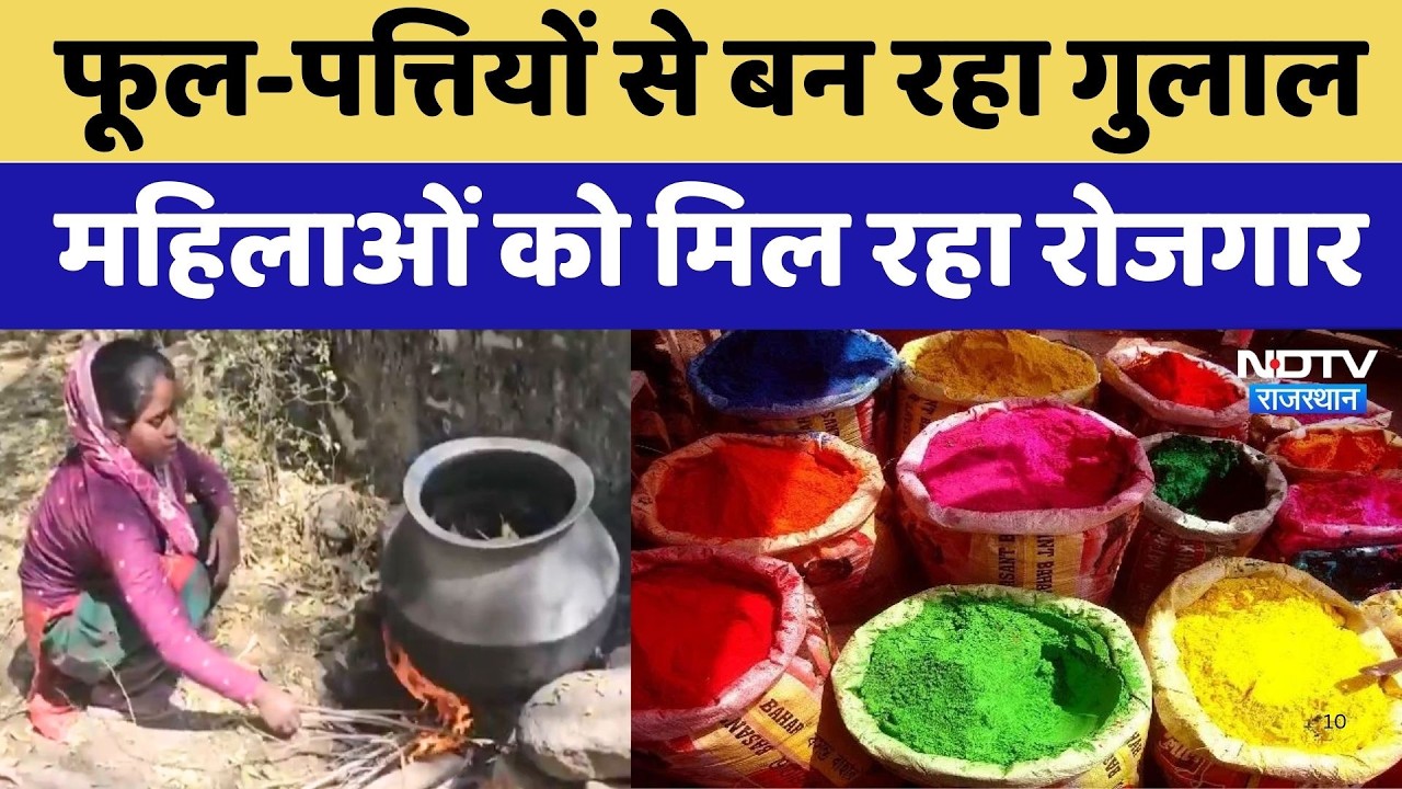 Holi Celebration 2026: जंगल के फूल-पत्तियों से महिलाएं ऐसे बना रही Herbal Gulal, देखिए ये Report
