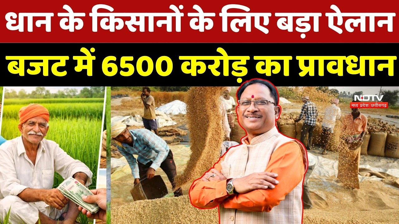 Farmer News: Dhan के किसानों के लिए बड़ा ऐलान, बजट में 6500 करोड़ का प्रावधान