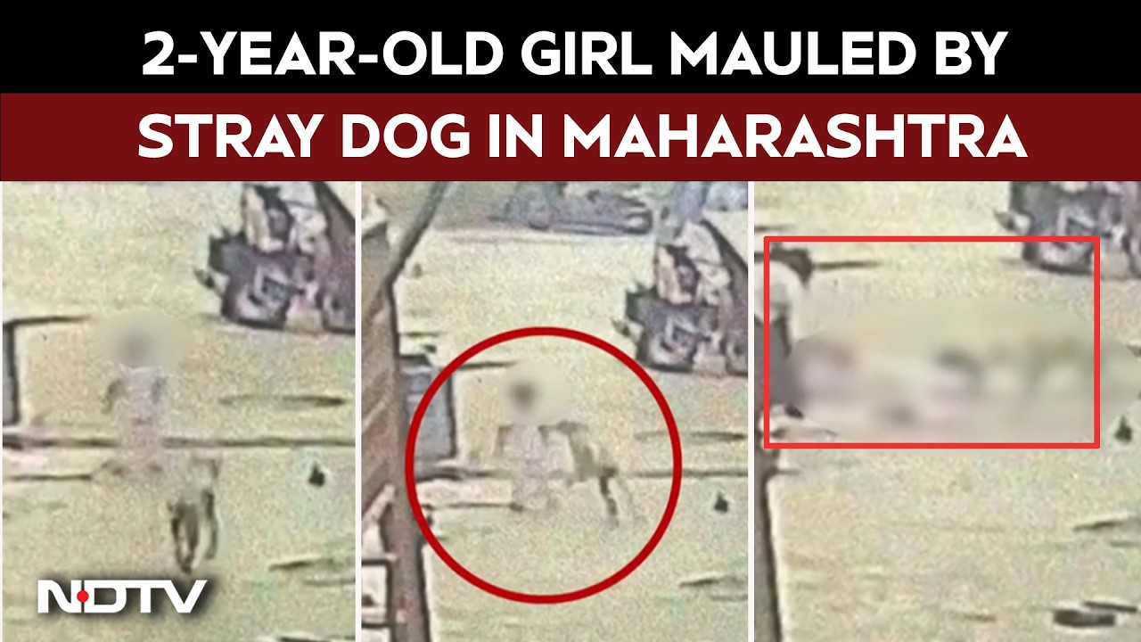 Maharashtra Dog Attack Case | Cuts On Lips, Eye: 2-Year-Old Girl Mauled By Stray Dog In Maharashtra