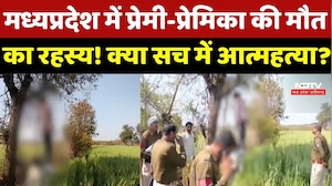 Shivpuri Crime News : प्रेमी-प्रेमिका की मौत का सनसनीखेज राज! पेड़ से लटकी लाशें