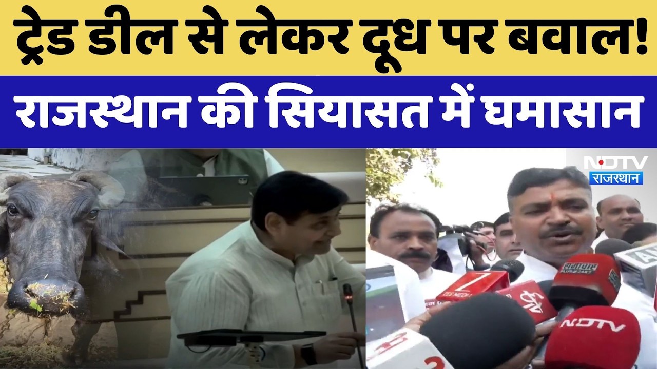 Rajasthan Politics: ट्रेड डील से लेकर दूध पर बवाल! क्यों मचा है घमासान?। Top News । Dilawar । NDTV