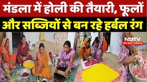 Mandala News: मंडला में होली की तैयारी, फूलों और सब्जियों से बन रहे हर्बल रंग |Viral Video |Top News